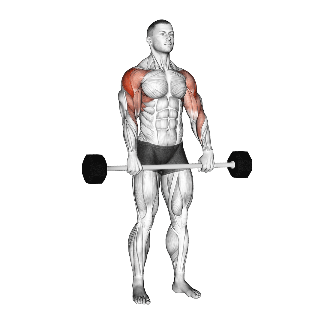 barbell upright row standing