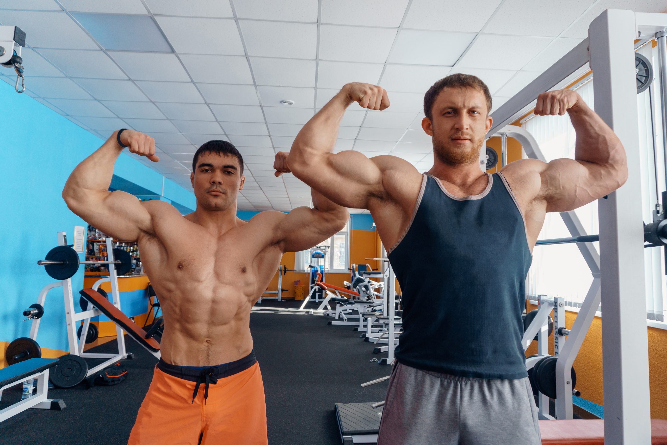 bodybuilder muscle symmetry