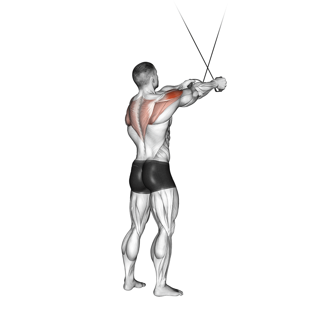 cable rear delt fly