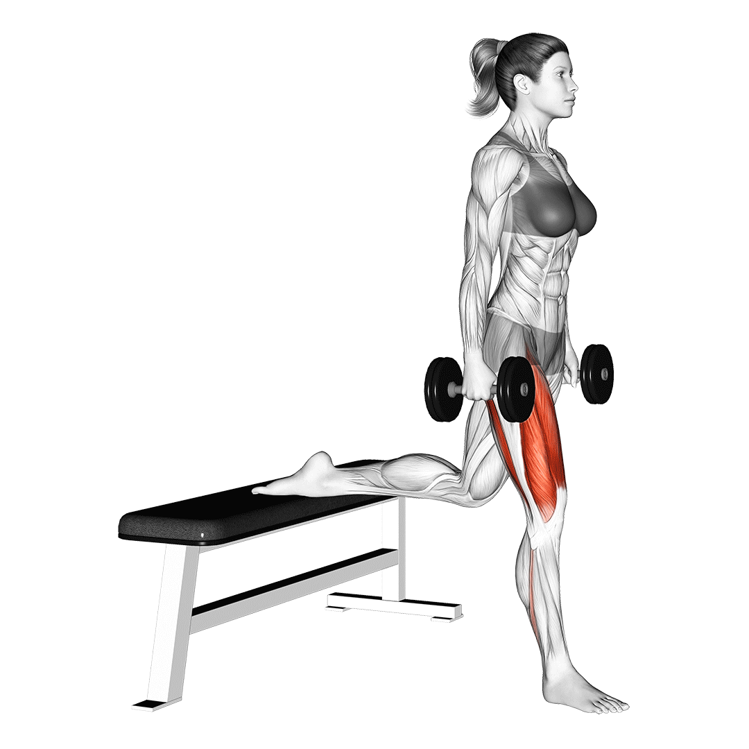 dumbbell bulgarian split squats