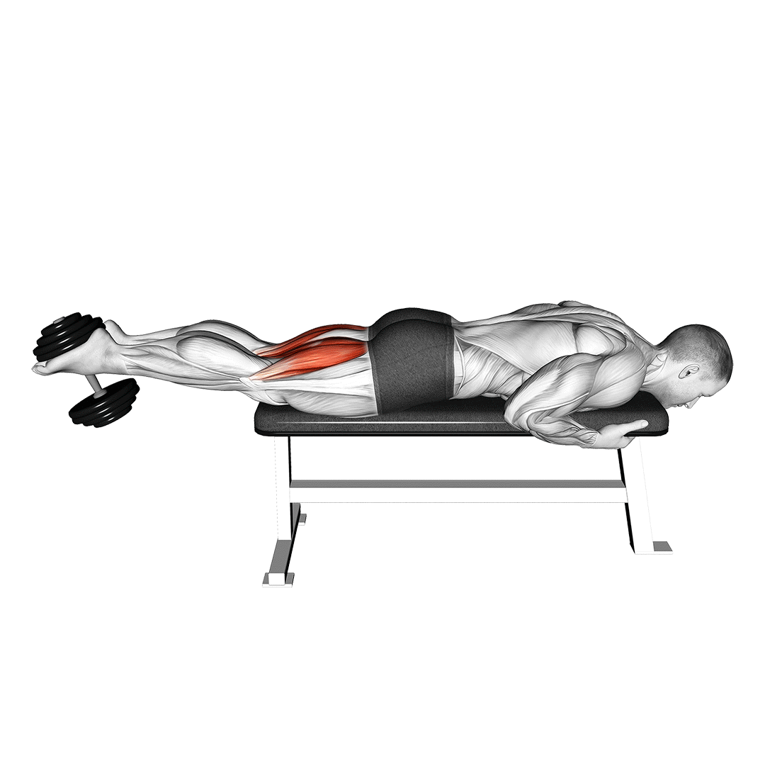 dumbbell leg curl