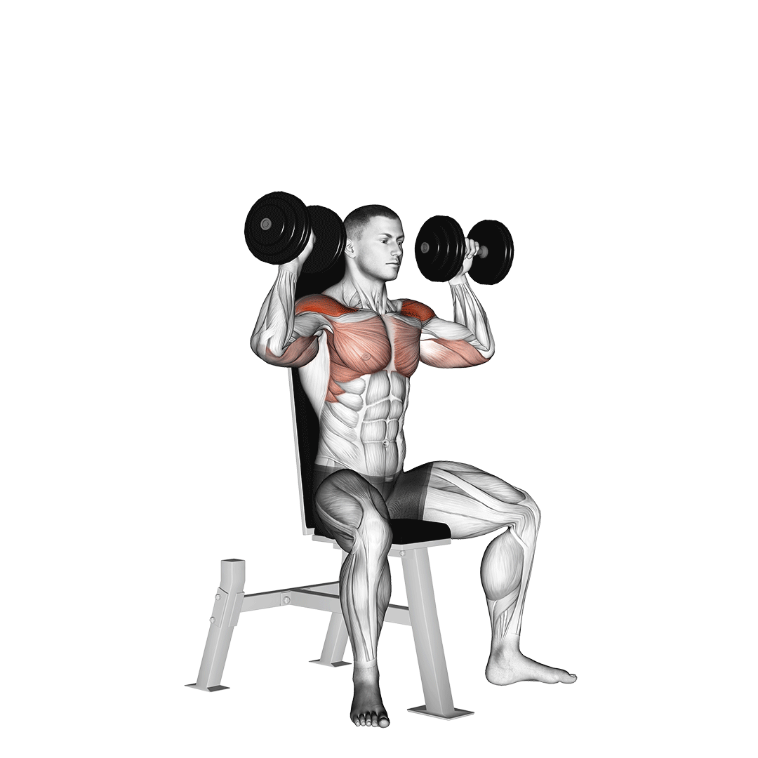 dumbbell shoulder press