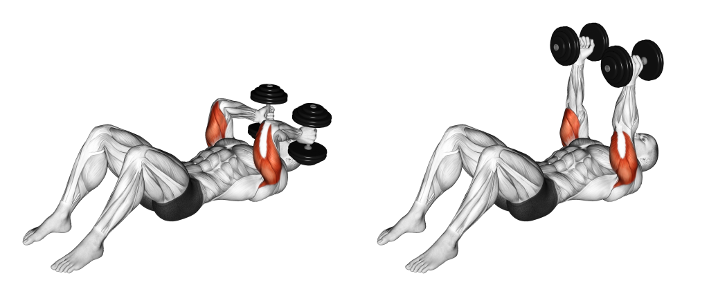 dumbbell skull crushers