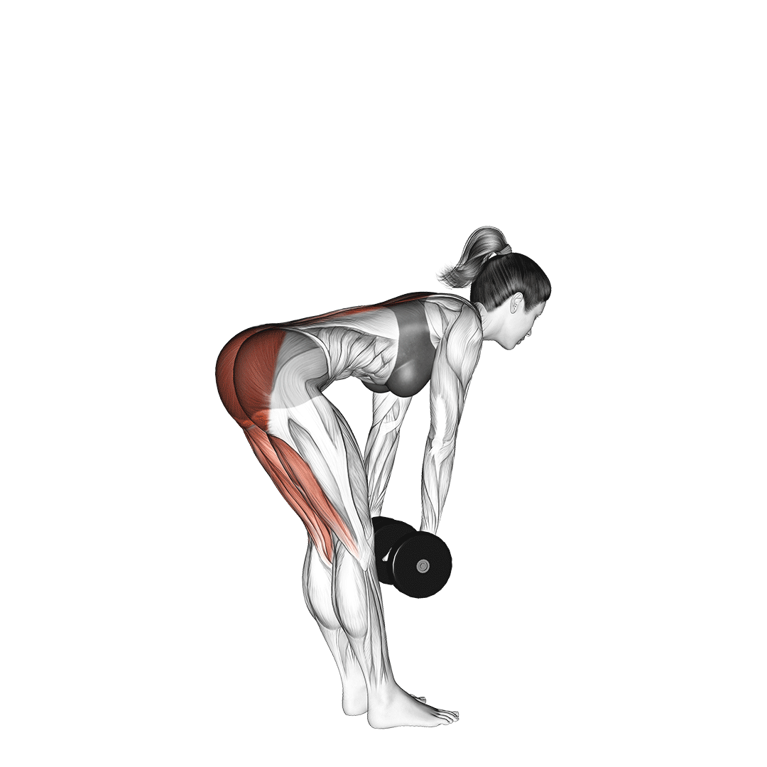 dumbbell stiff leg deadlift