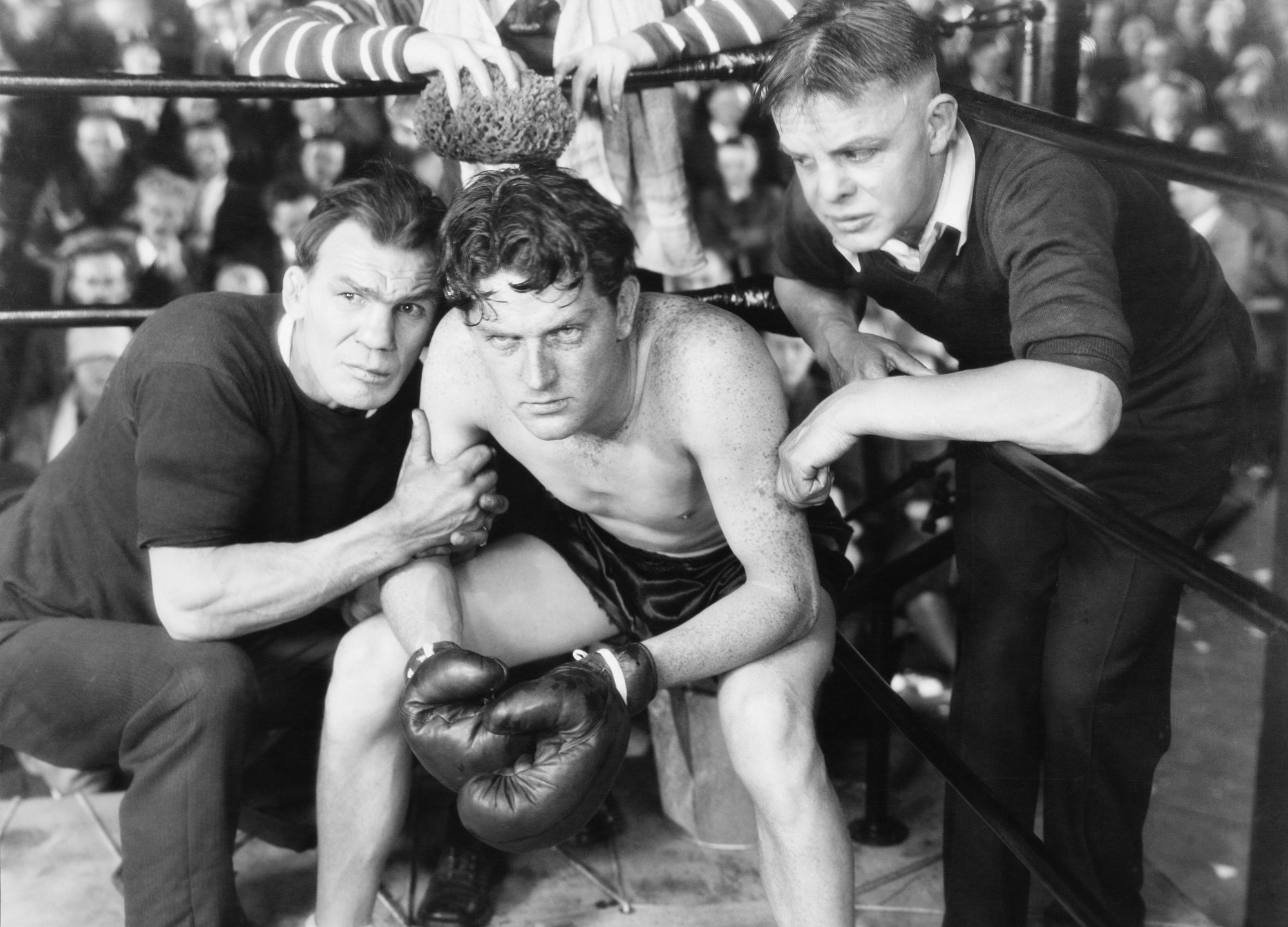 evolution of boxing