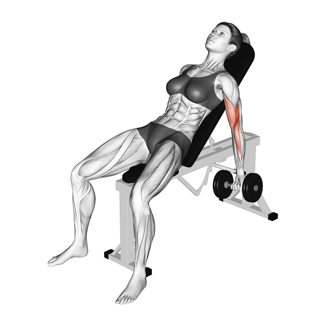 incline dumbbell curl