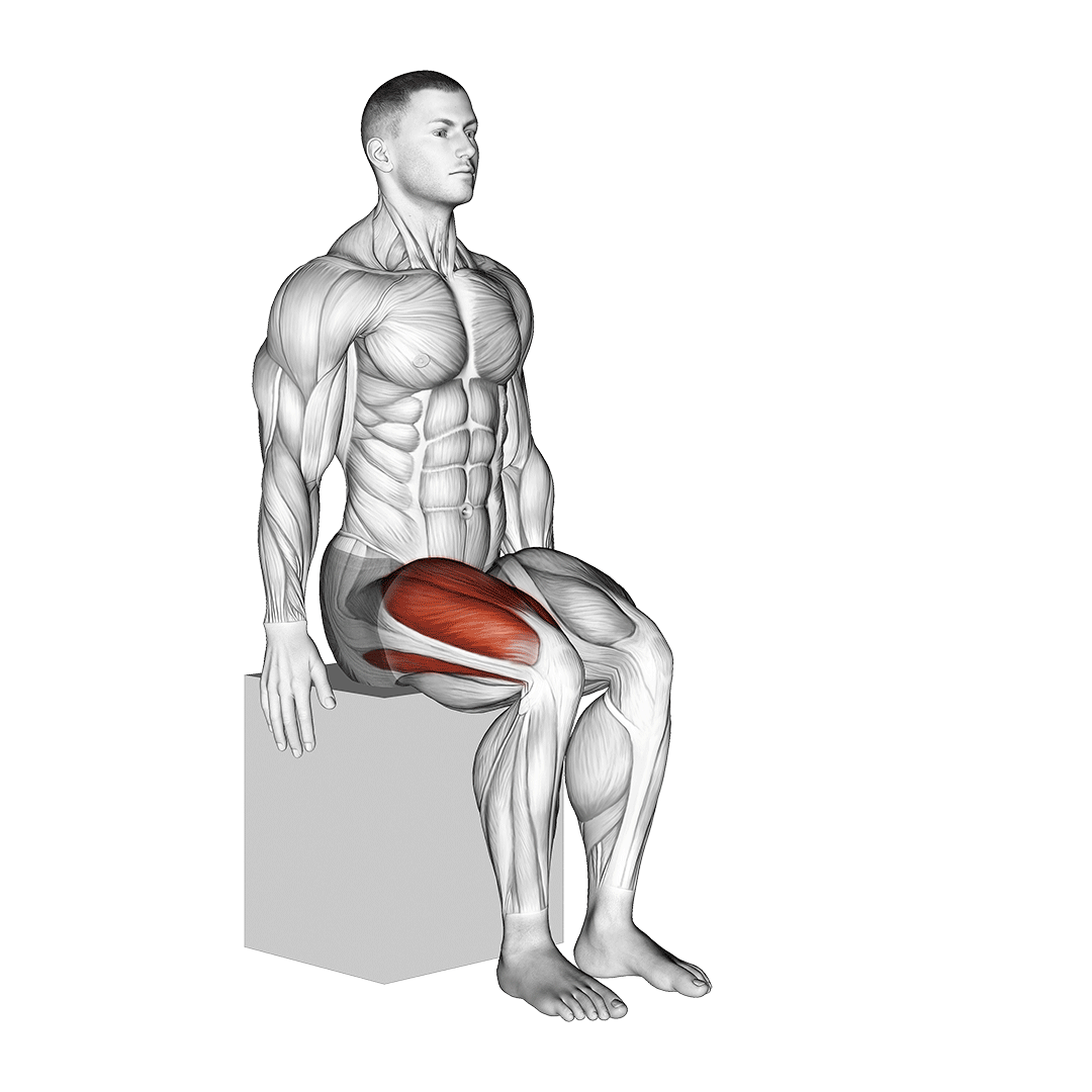 knee extension