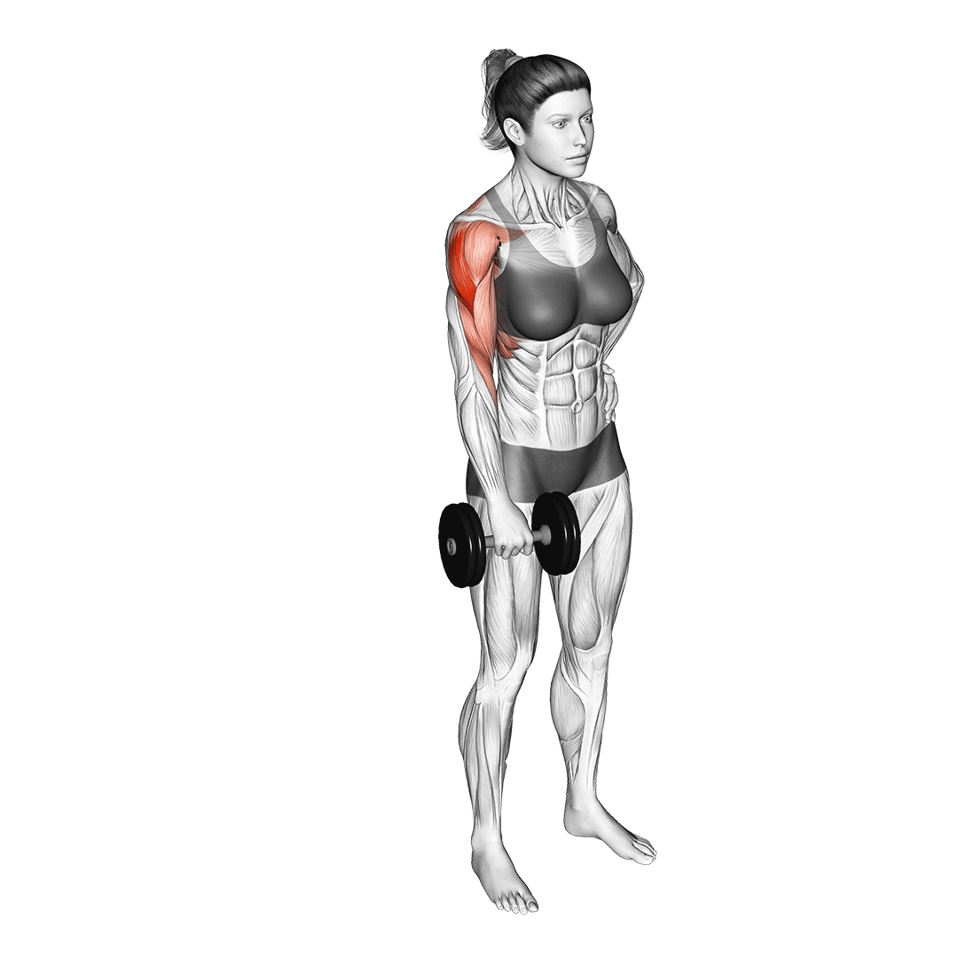 one arm dumbbell upright row
