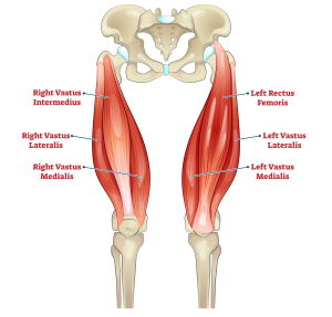 5 Best Knee Extension Exercises (with Pictures!) - Inspire US