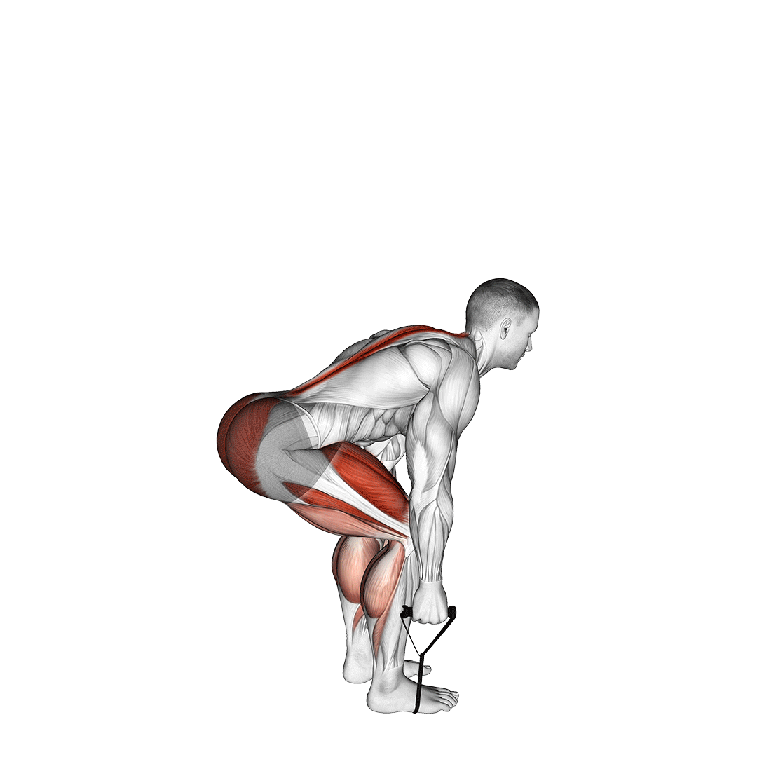 resistance band deadlift
