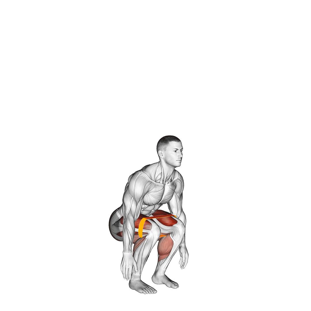 resistance band jump squats