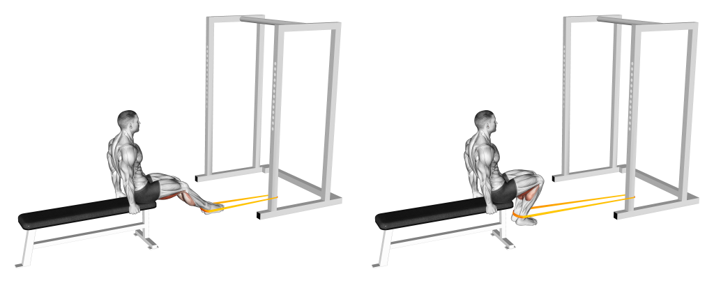 resistance band seated hamstring curl