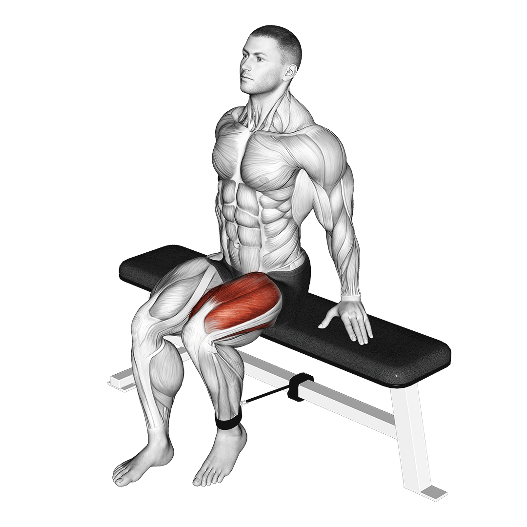 resistance band seated leg extension