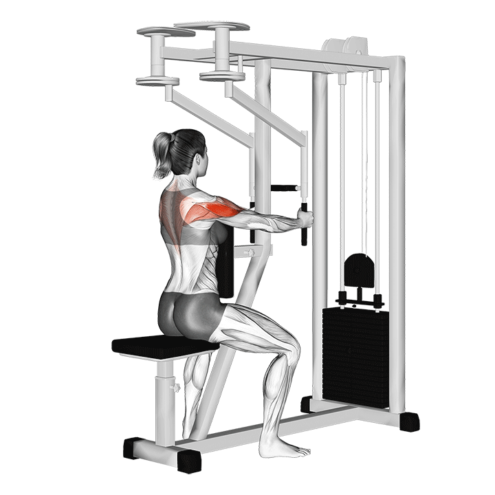reverse pec pec machine