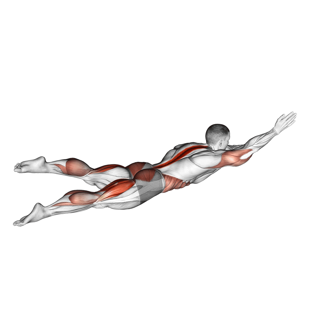 reverse swimmers