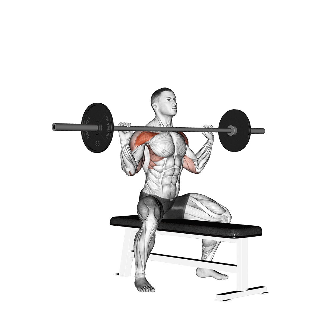 seated overhead press