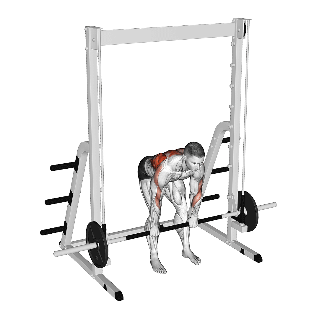 smith machine bent over row