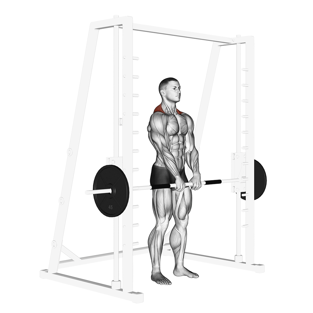 smith machine shrug