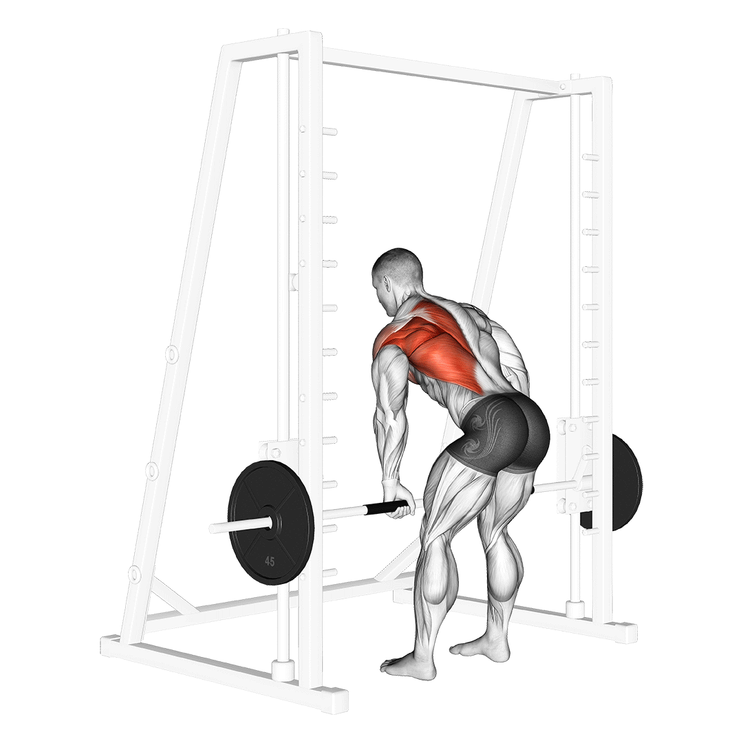 smith machine single arm row