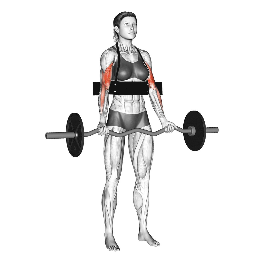 arm blaster benefits