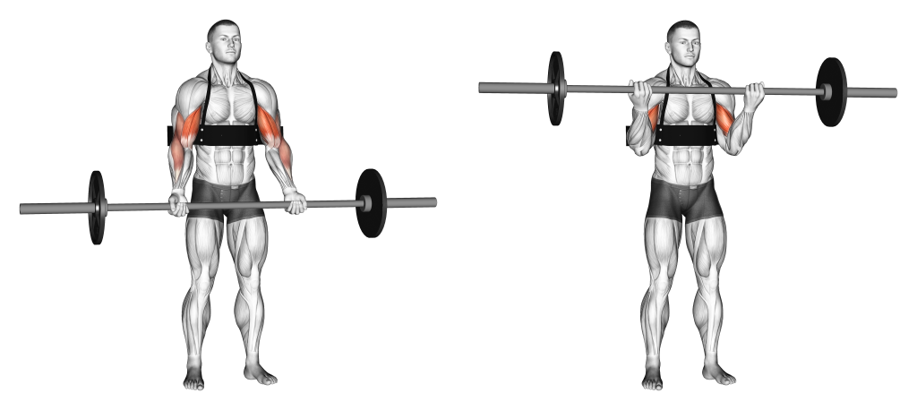 arm blaster curls