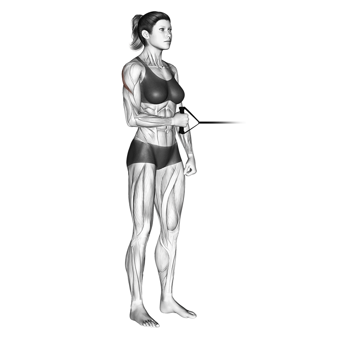 band external rotation