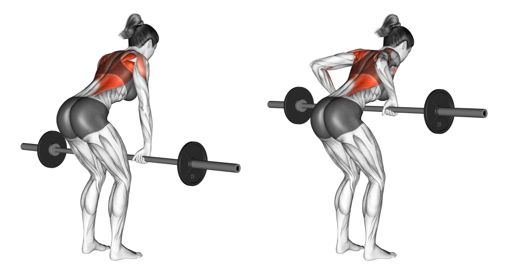 barbell bent over row