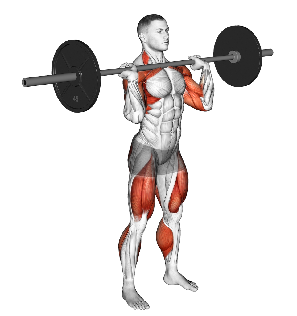 barbell hang clean and jerk 3rd position
