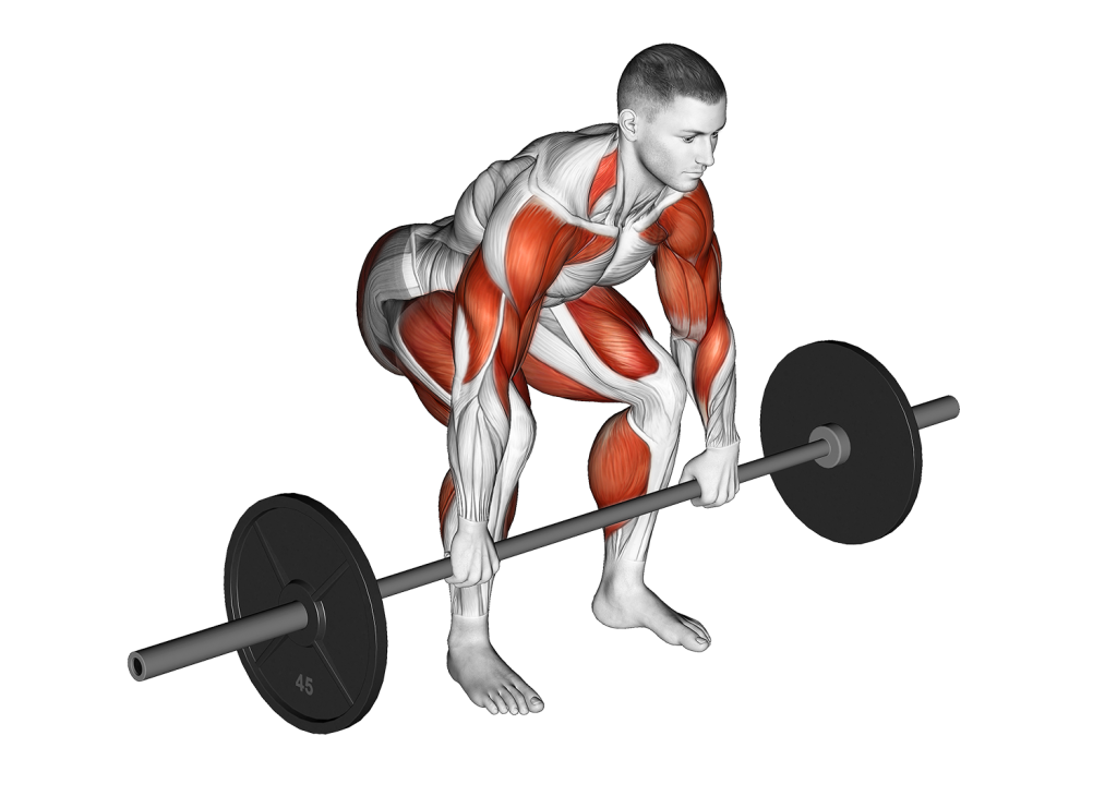 barbell hang clean and jerk starting position