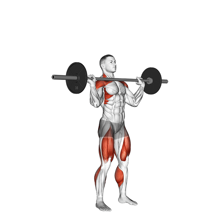 barbell push jerk muscles