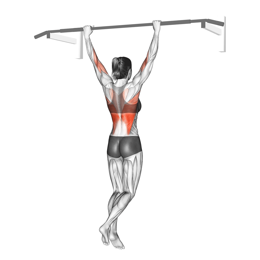behind the neck pull up