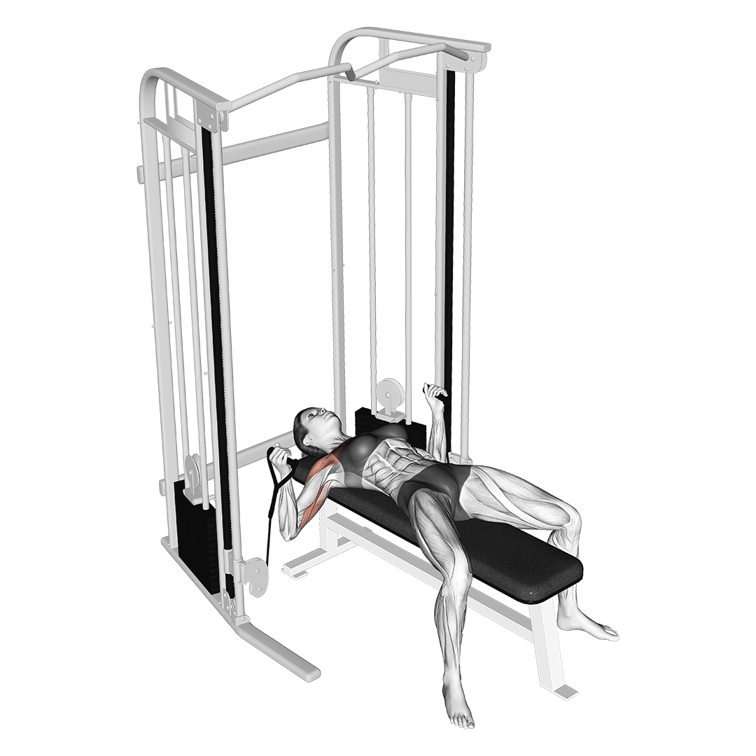 cable bench press