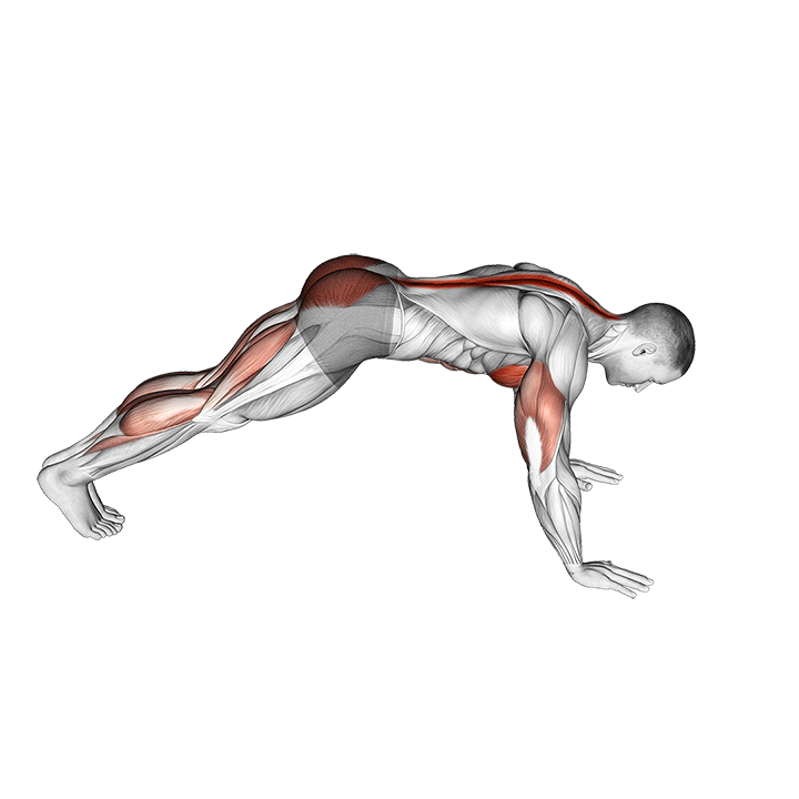 cobra push up movement