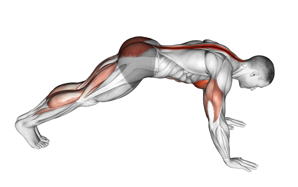 cobra push up starting position