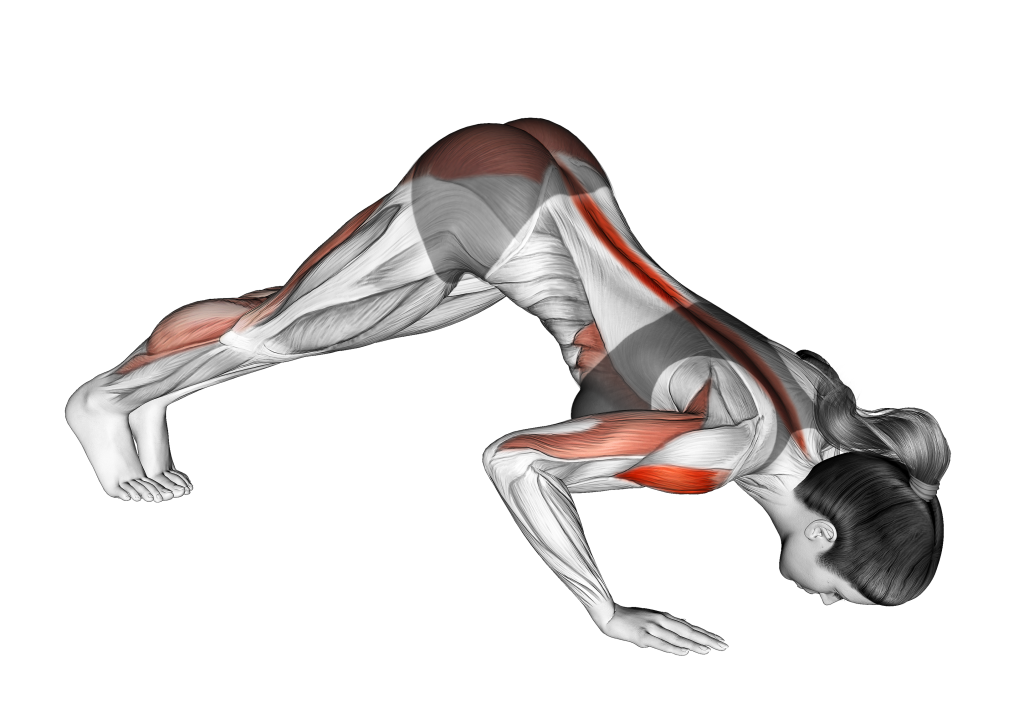 dive bomber push up second position