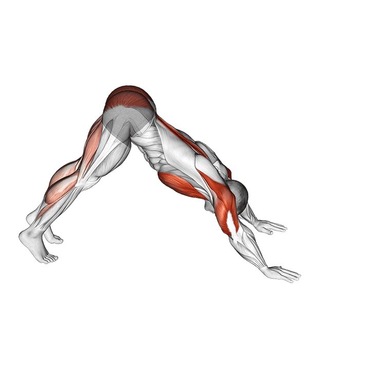 dive bomber push ups
