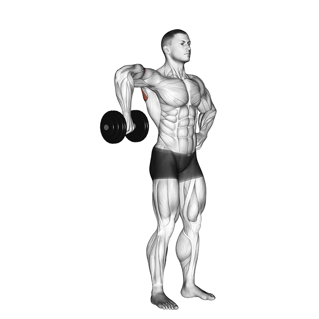 dumbbell external rotation