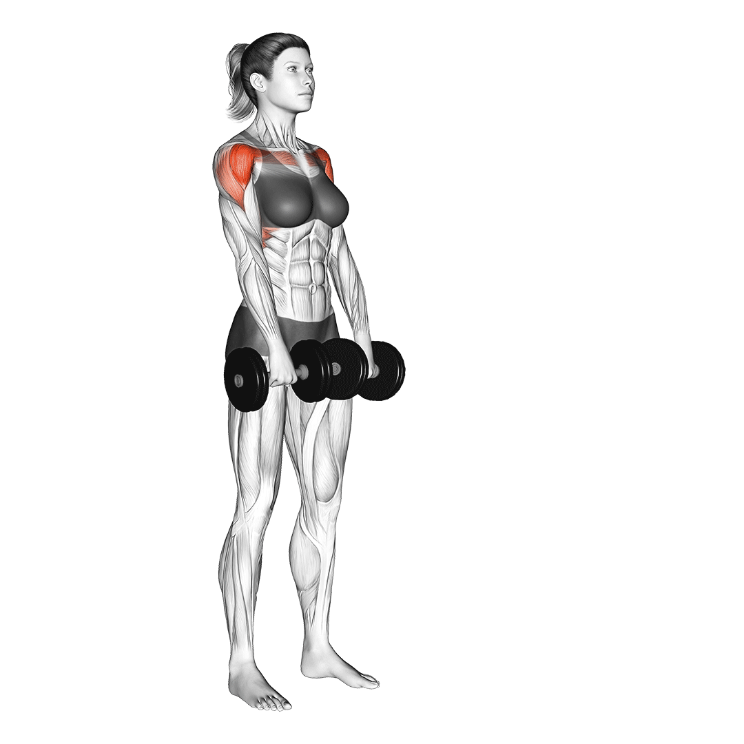 dumbbell front raise