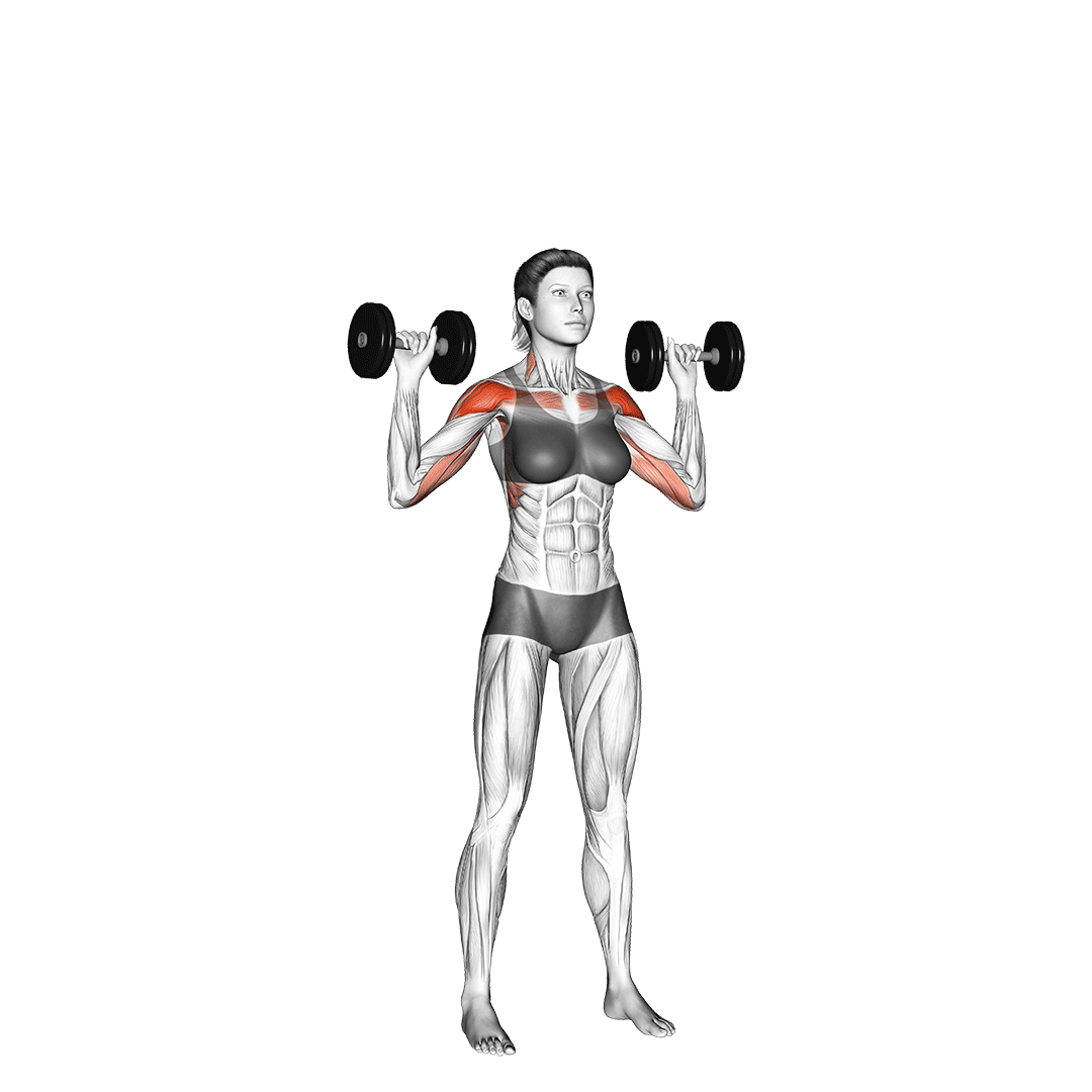 dumbbell military press