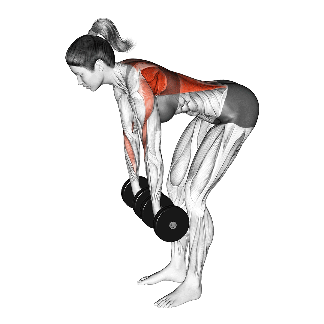 dumbbell row