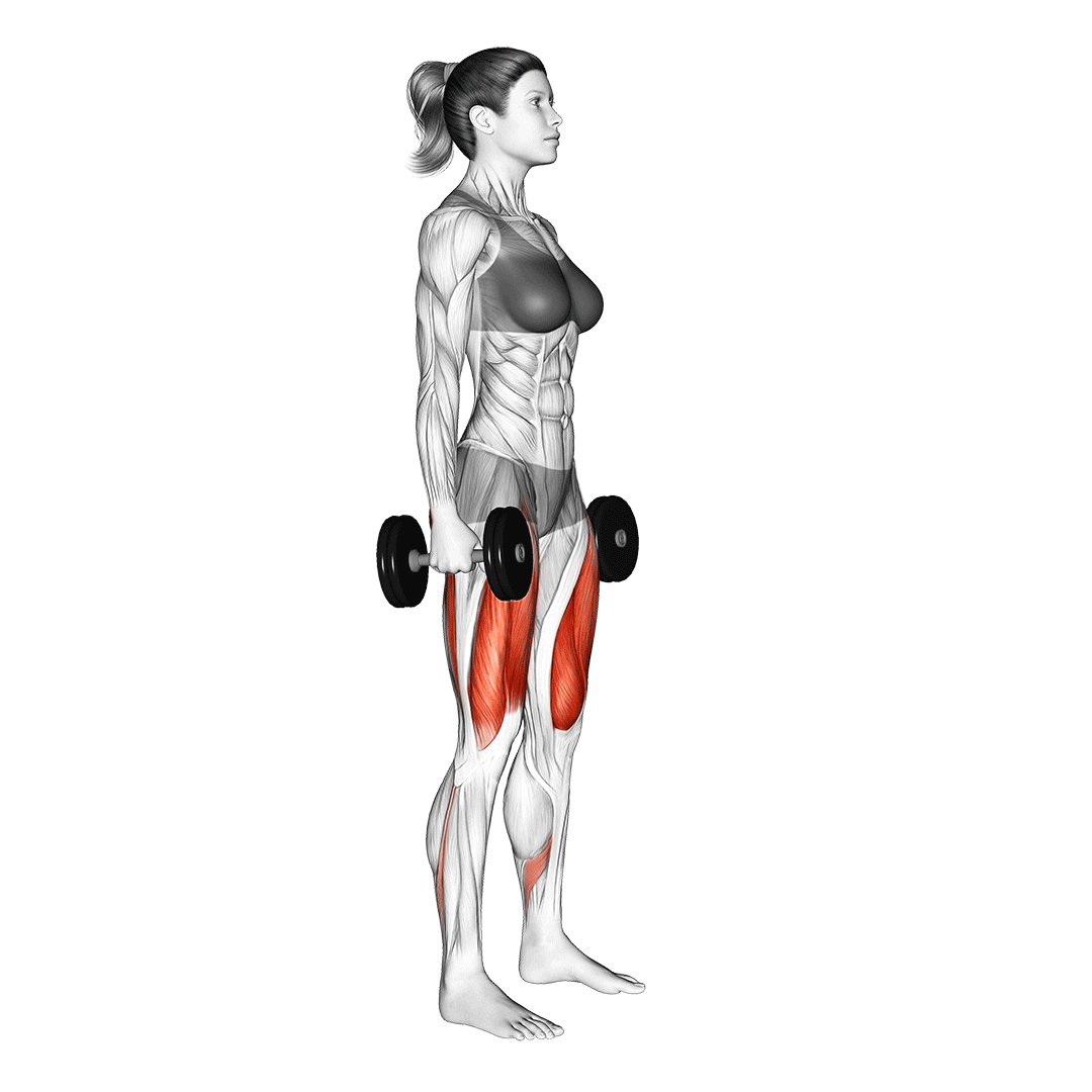 dumbbell squat