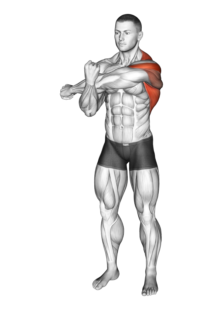 elbow back stretch