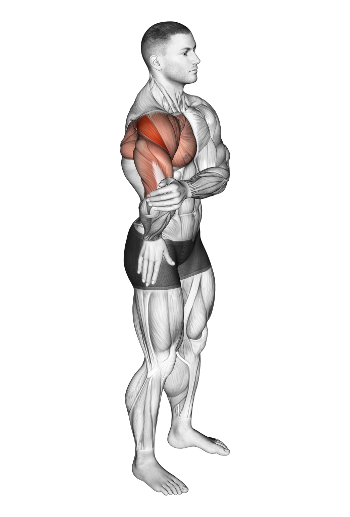 elbow-out rotator stretch