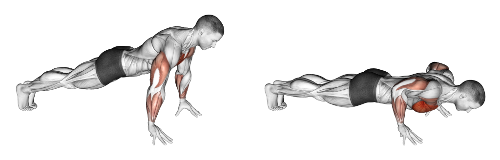 finger push up muscles