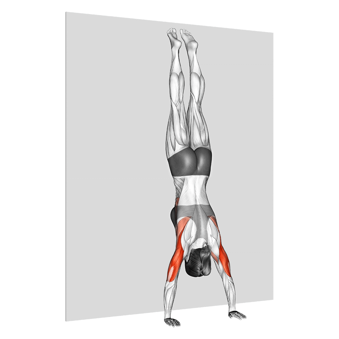 handstand push up