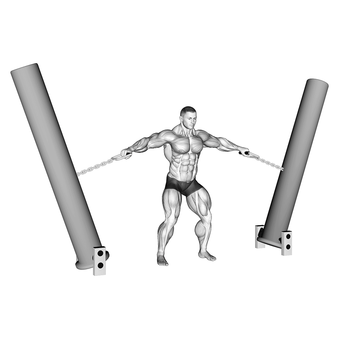 hercules hold