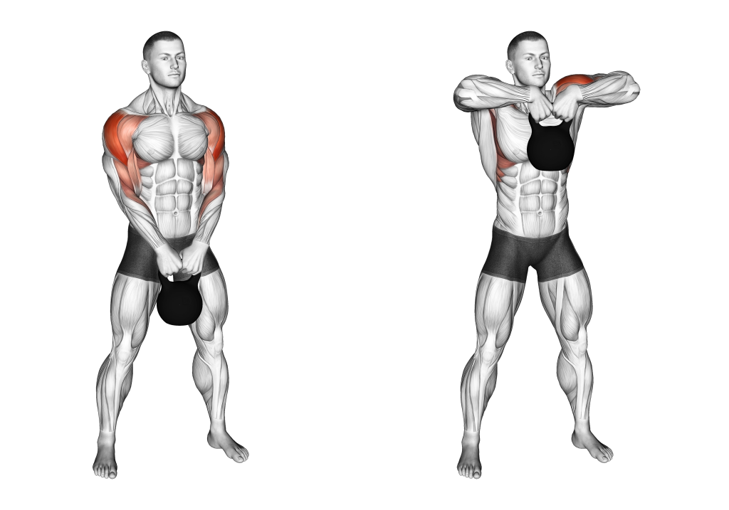 kettlebell upright row muscles