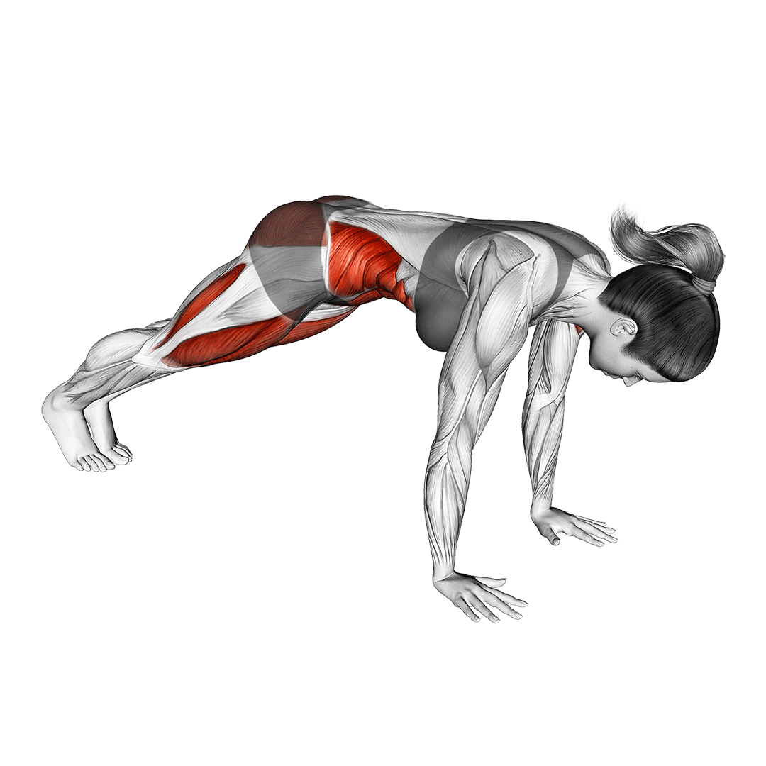 mountain climbers