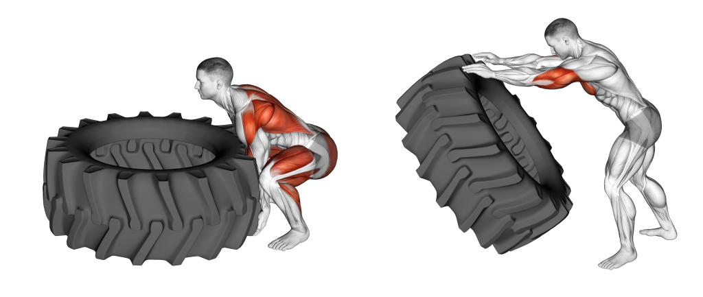 muscled used to tire flip