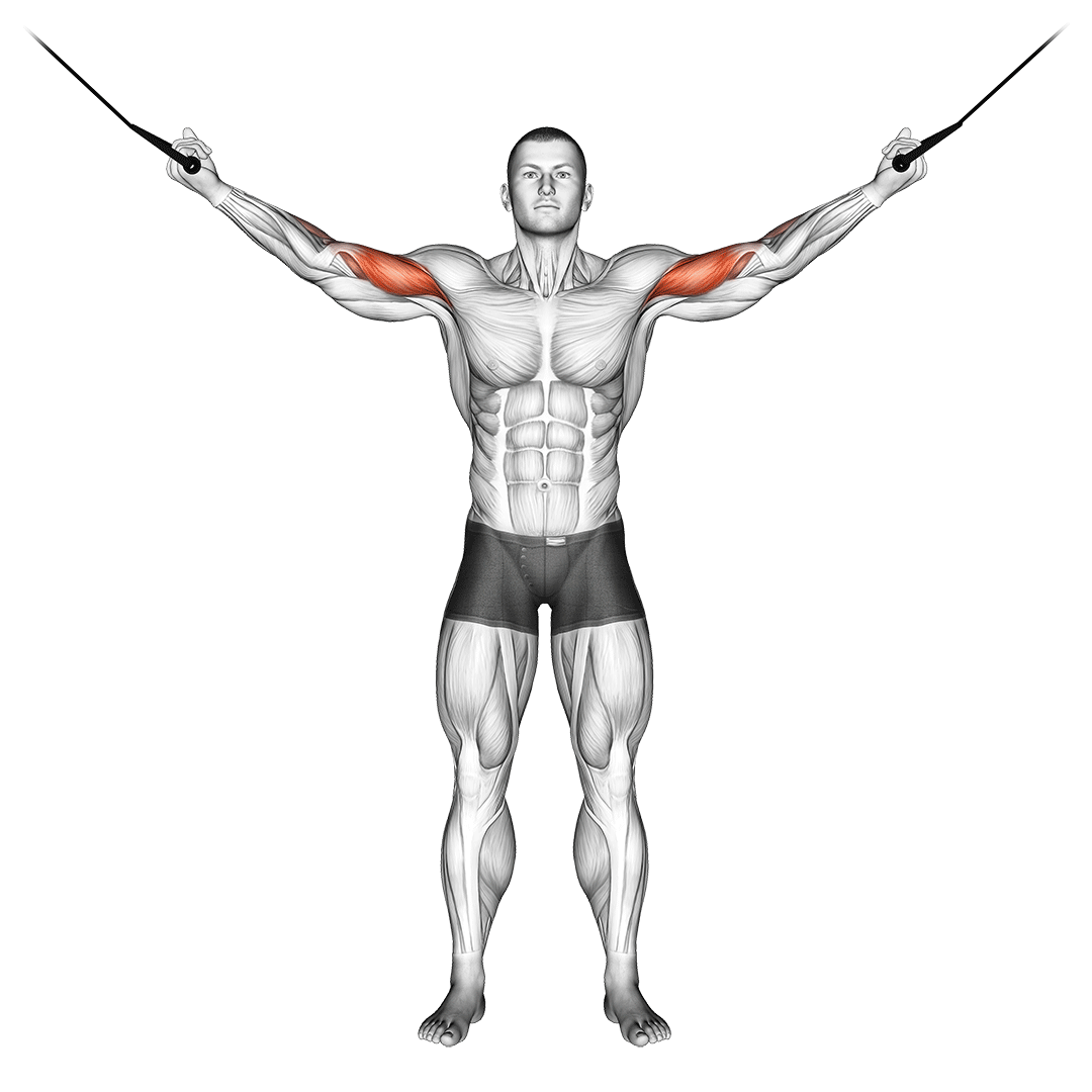 overhead cable curl